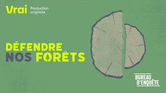 Défendre nos forêts Trailer