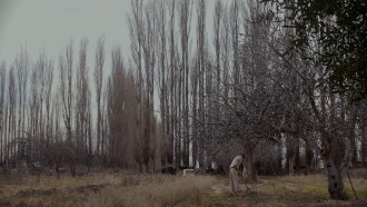 Del caminar en el viento Trailer