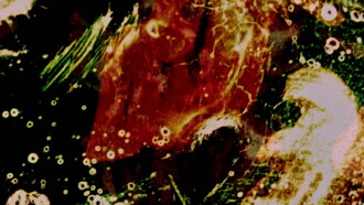 Delicacies of Molten Horror Synapse Trailer