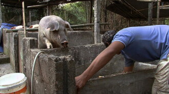 Denok & Gareng Trailer