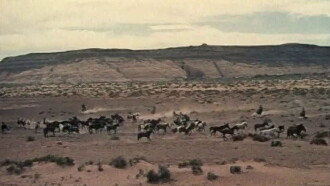 Der Schauplatz des Krieges. Das Kino von John Ford Trailer