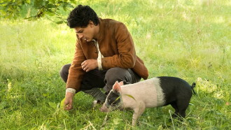 Der Schweinehirt Trailer