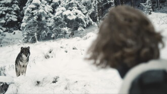 Der Wolf Trailer