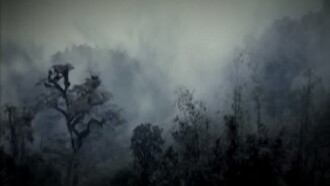 Descaminhos Trailer