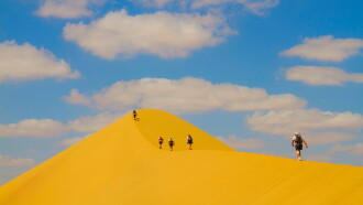 Desert Runners Trailer