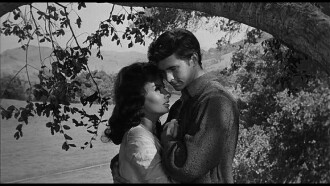 Desire Under the Elms Trailer