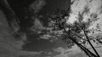Desolation Trailer