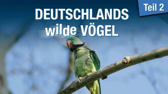 Deutschlands Wilde Vögel 2 Trailer