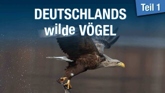 Deutschlands wilde Vögel Trailer