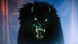 Devil Dog Trailer