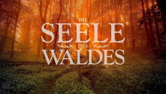 Die Seele des Waldes Trailer