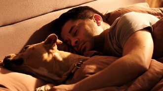 Dikkat Köpek Var Trailer