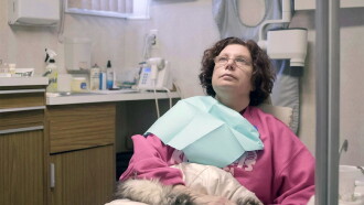 Dina Trailer