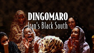 Dingomaro Trailer