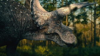 Dino Death Match Trailer