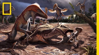 Dino Death Trap Trailer