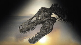 Dinosaur 13 Trailer