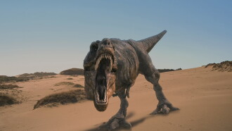Dinosaurs Alive Trailer