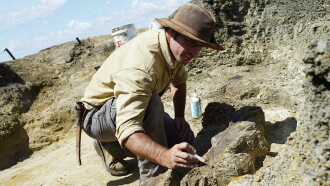 Dinosaurs: The Final Day with David Attenborough Trailer
