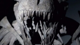 Dinosaurs: The Hunt for Life Trailer