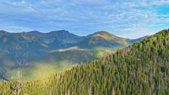 Disappearing World of the Capercaillie Trailer