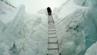 Disaster on Everest Trailer