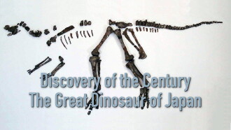 Discovery of the Century — The Great Dinosaur of Japan Trailer
