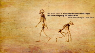 Dismantled: A Scientific Deconstruction of The Theory of Evolution Trailer