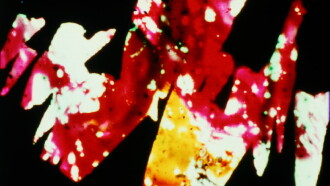 Divinations Trailer