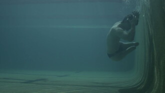 Diving In Trailer