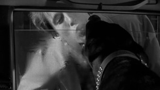Dobermann Trailer