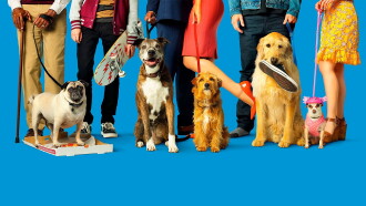 Dog Days Trailer