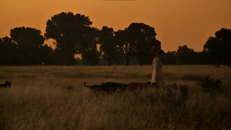 Dog Lady Trailer