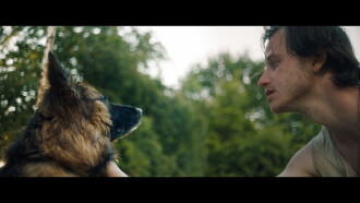 Dog Run Trailer