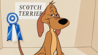 Dog Tales Trailer