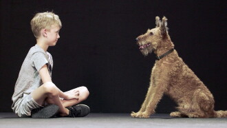 Dogs and Us: The Secret of a Friendship Trailer