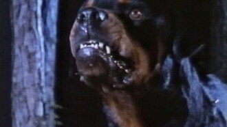 Dogs of Hell Trailer