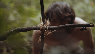 Dogwood Trailer