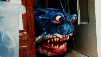 Doll Shark Trailer