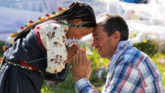 Dolma, The Little Khampa Trailer