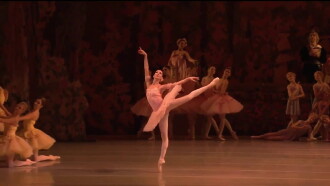Don Quixote - Mariinsky Theatre Trailer
