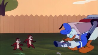 Donald and the Big Nut Trailer