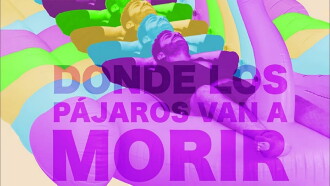 Donde los pájaros van a morir Trailer