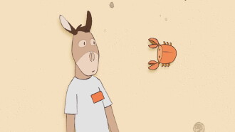 Donkey Trailer