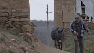 Donkey Trailer