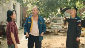 Donkey On The Tree 2:  Stubborn Donkey goes on Trailer