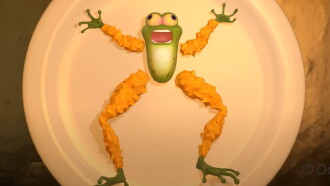 Don't Croak Trailer