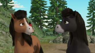 Doru: Macera Ormanı Trailer