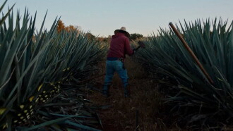 Dos estaciones Trailer