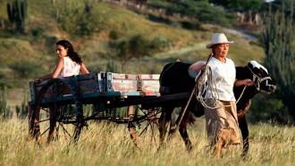 Dos mujeres y una vaca Trailer